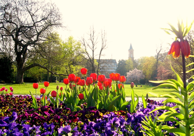 Kurpark B.-Dürkheim 06_1.jpeg