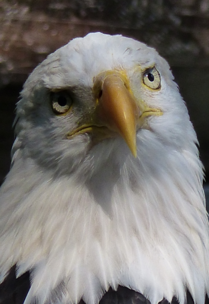 2014-10-08 19.55.29.png