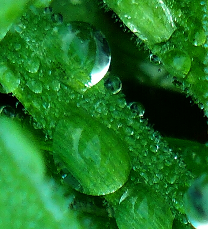 2014-10-08 20.01.07.jpg