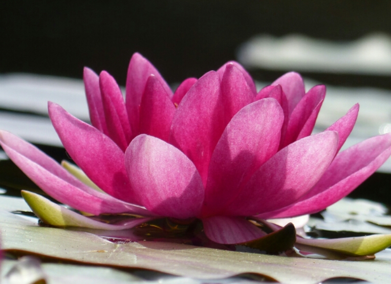 2014-10-08 20.03.38.jpg