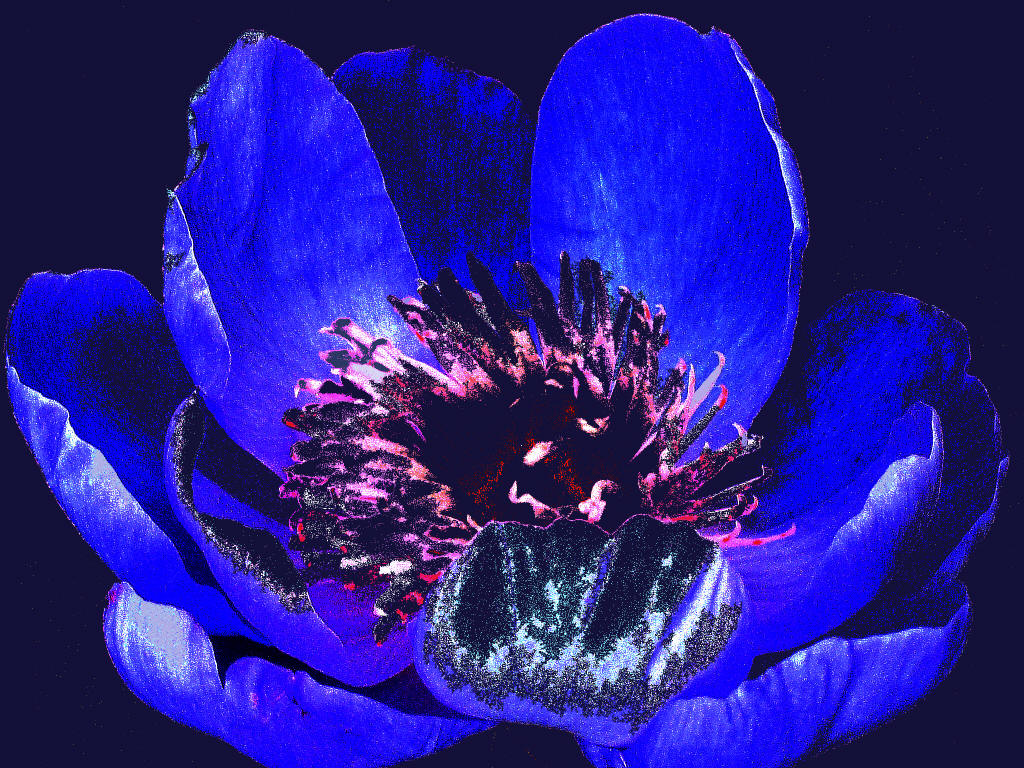 P1020491ff_2_1.jpg