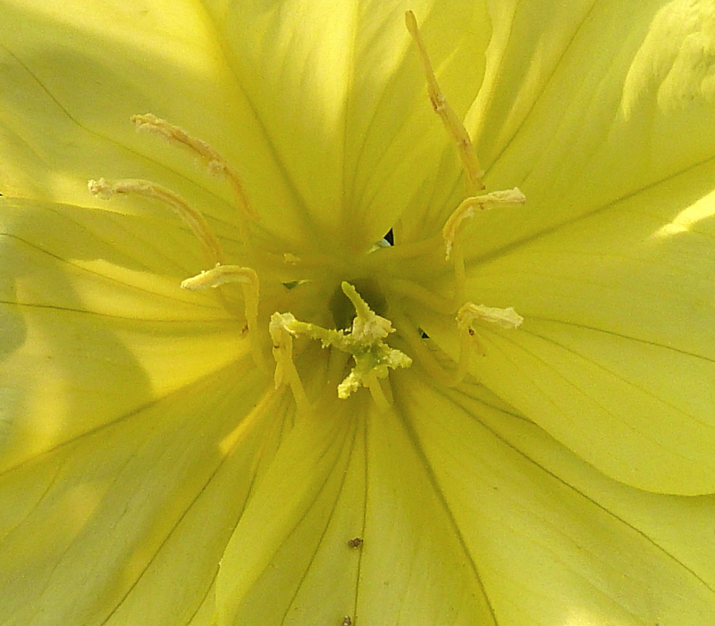 P1010095b_1.jpg