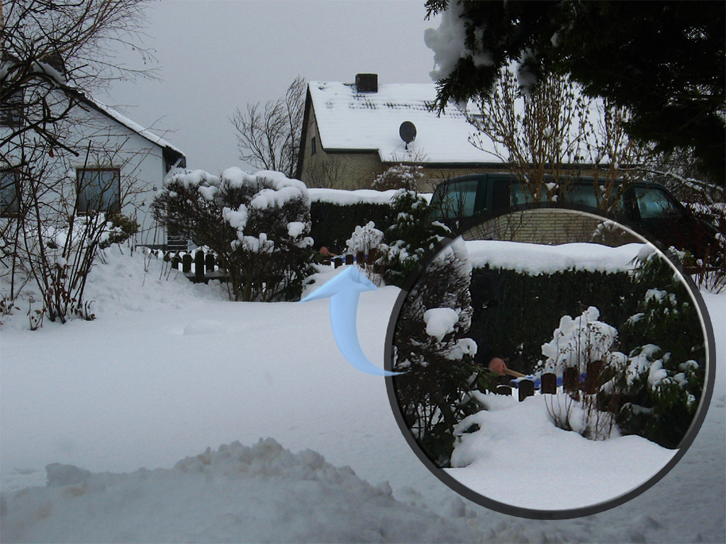 Schnee2011.jpg