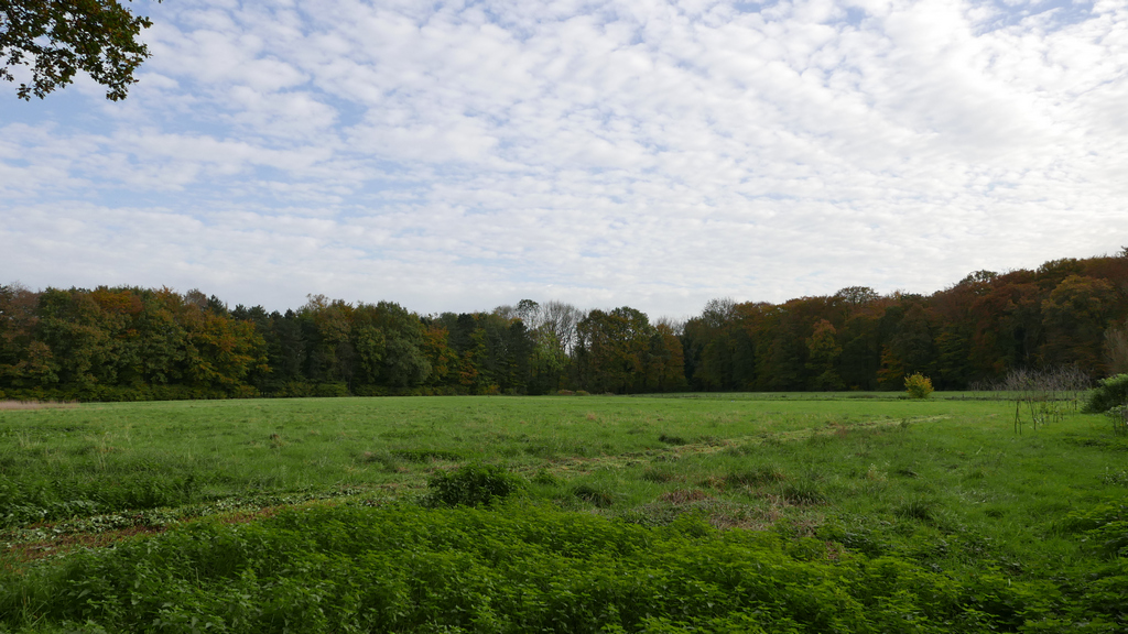 P1000491j1024.jpg