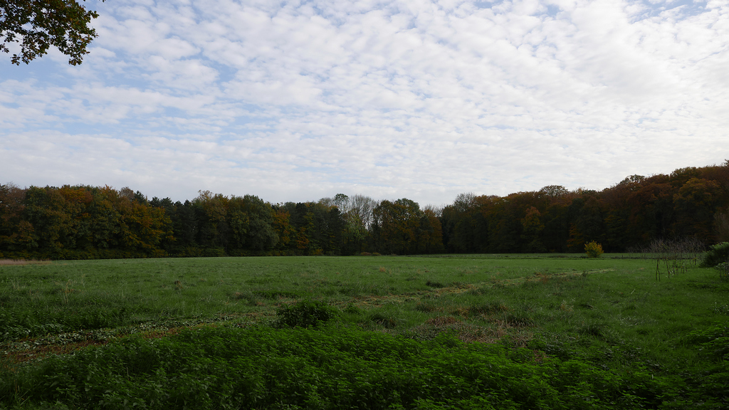 b4P10004911024.jpg