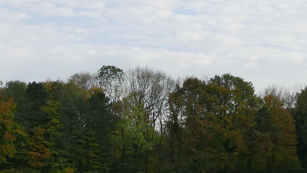 P1000491j1024c.jpg