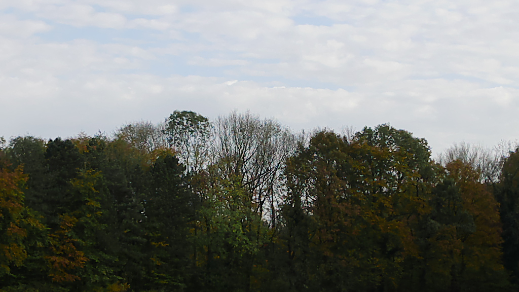 b70P1000491.jpg