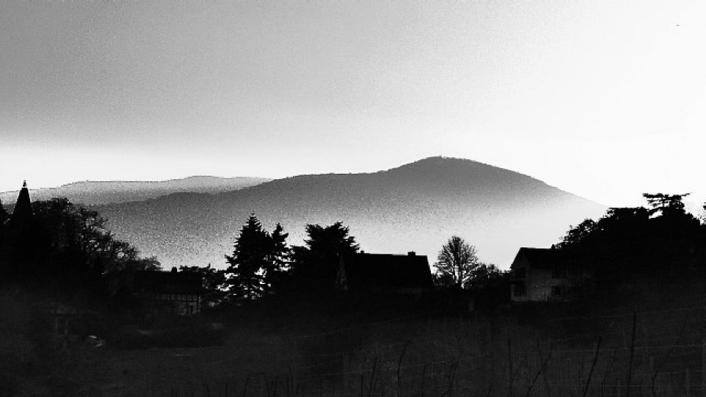 P1050796_1_1.JPG