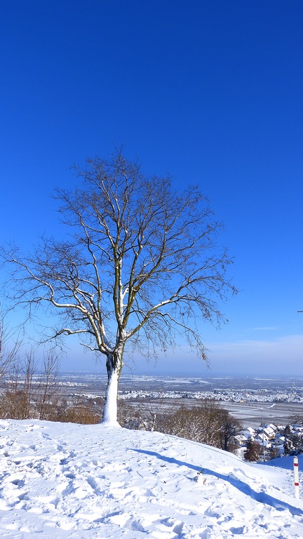 Sankt Martin 12-2014 (45) kk.jpg
