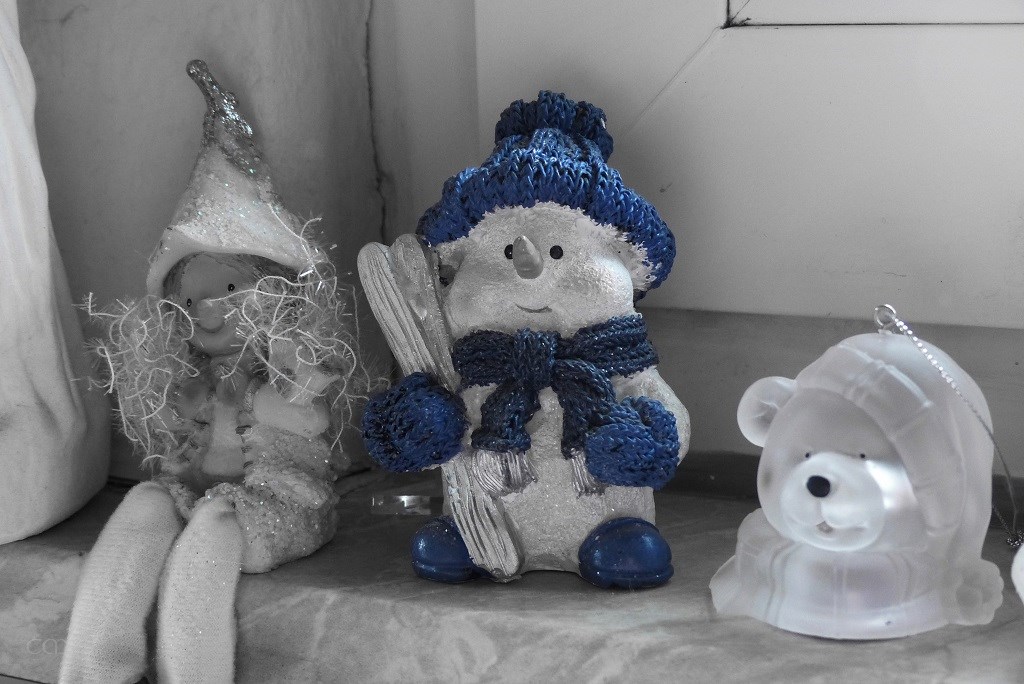 P1690170.JPG