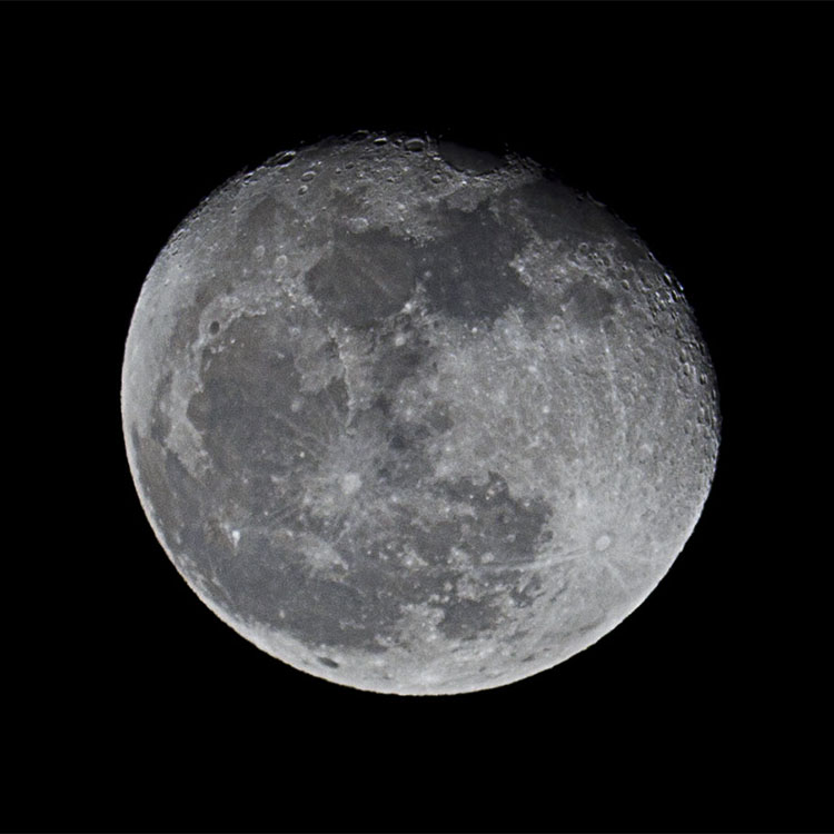 P1230659-w.jpg