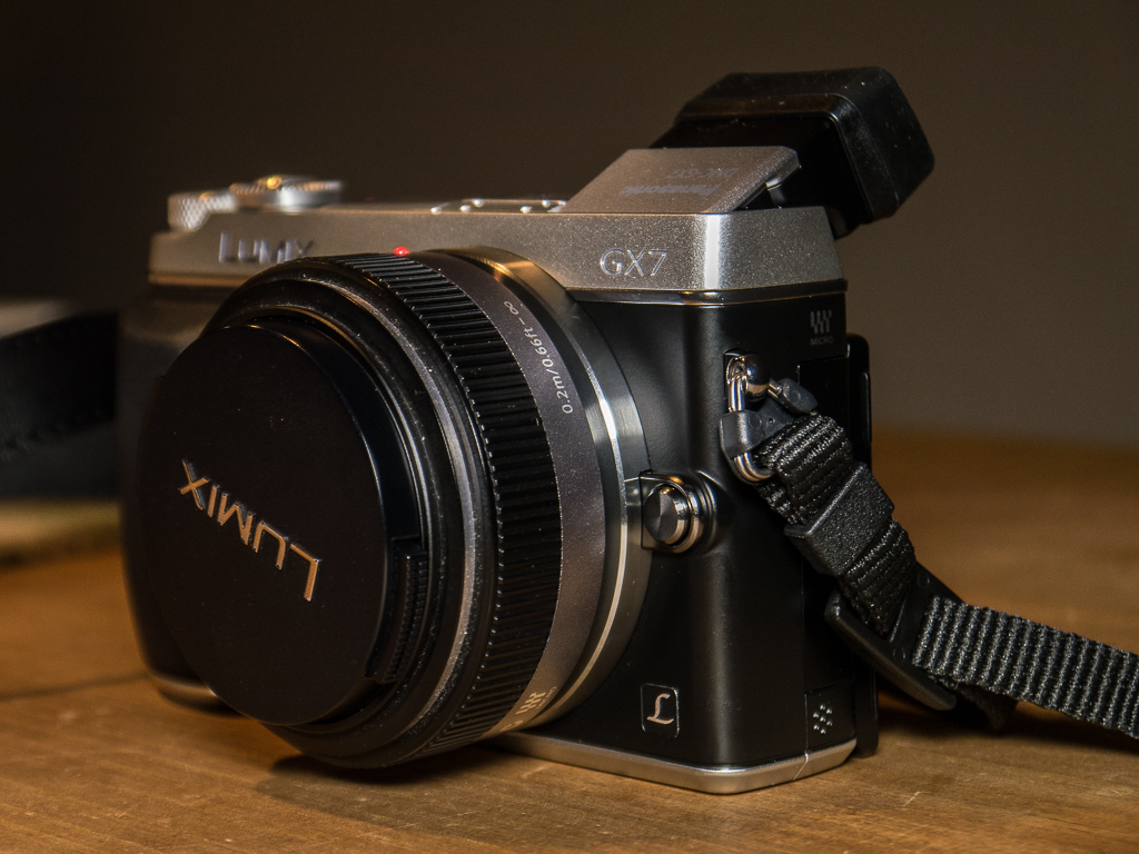 GX7_1.jpg