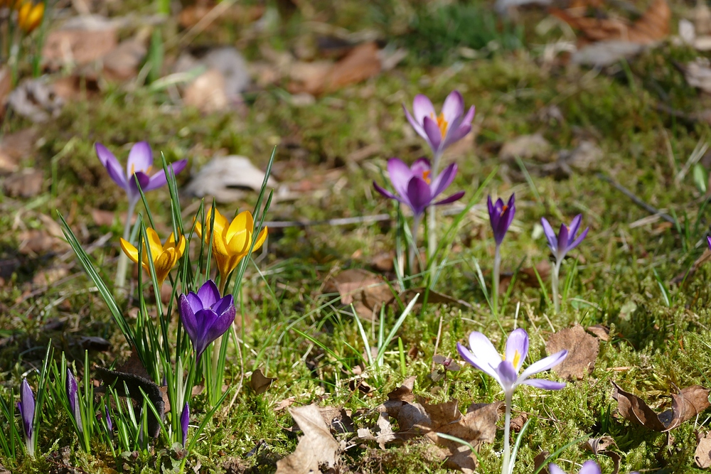verkleinert-xP1280755.jpg