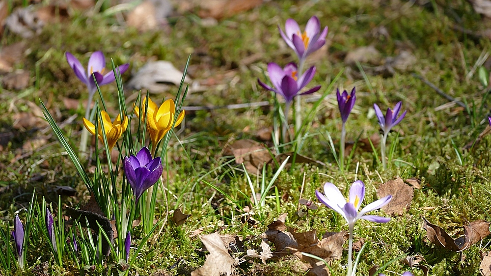 verkleinert-P1280755.jpg