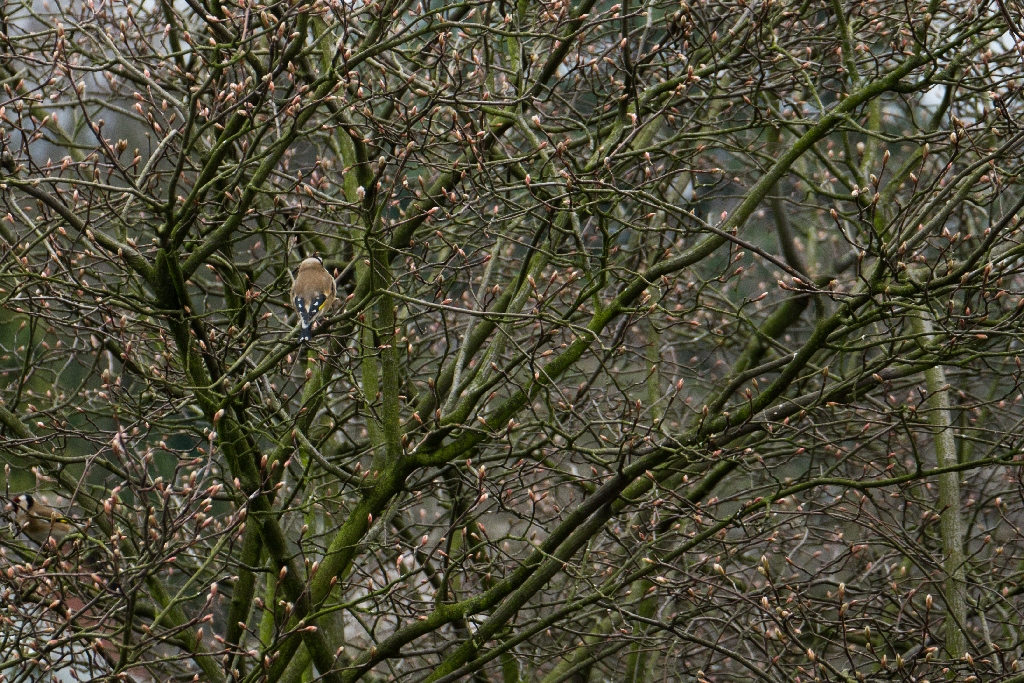 P1060150.jpg