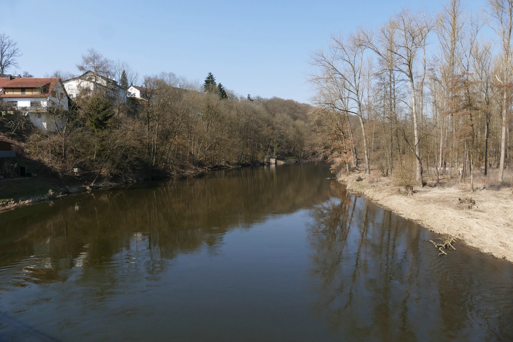 comp_P1000084-1.jpg