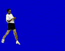 hbschlag7rc.gif