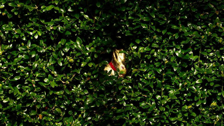 verstecktkl.jpg