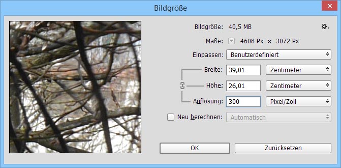 Bildgröße 4.jpg