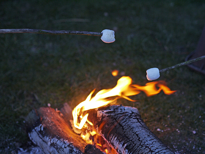 Marshmallow.jpg