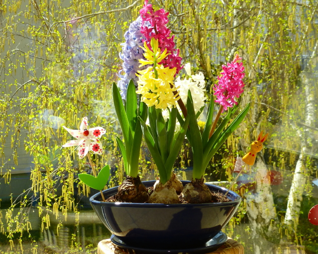 P1000084b_3_1.jpg