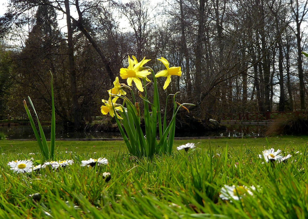 comp_P1010145.jpg