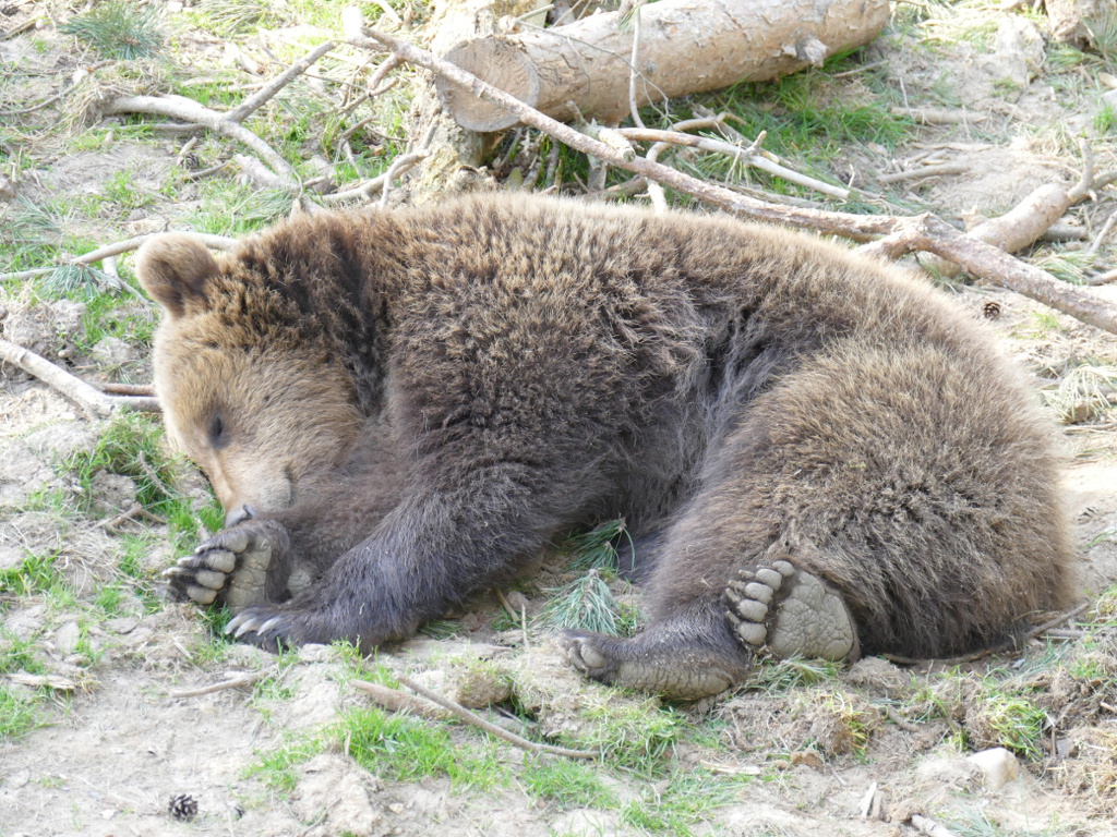 Forum_Bild3_neu.JPG