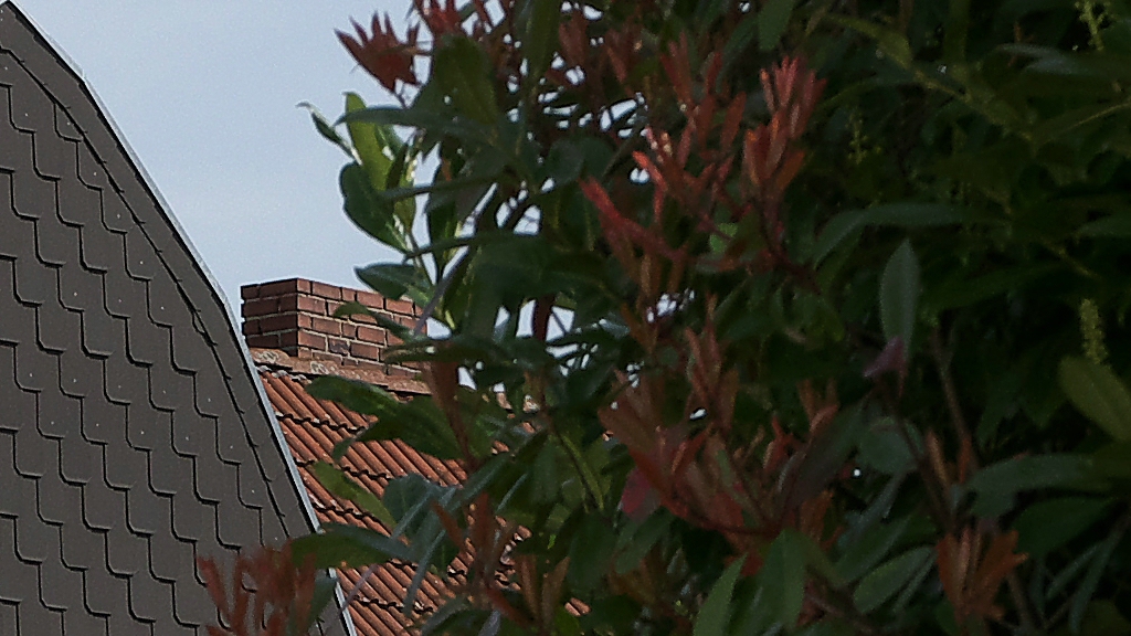 comp_Crop manualSharp.jpg