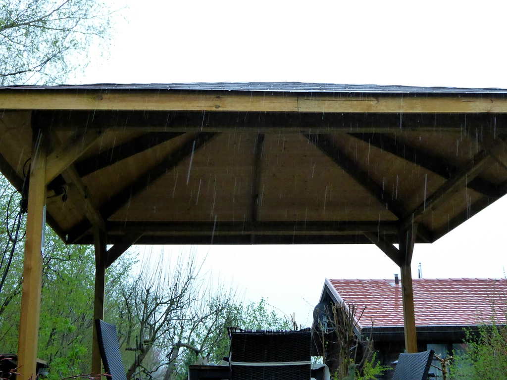 comp_Regen April 2015 (12).jpg