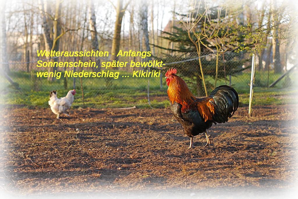 Wetterbericht.jpg