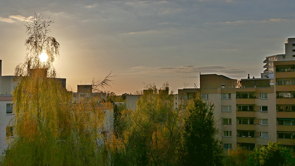P1290286 0 verkleinert.jpg