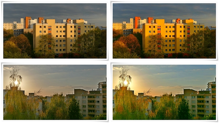 Collage verkleinert.jpg