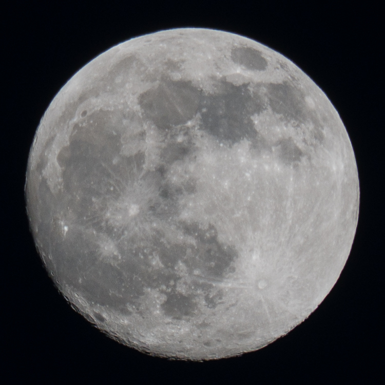 20150502-P1050803.jpg