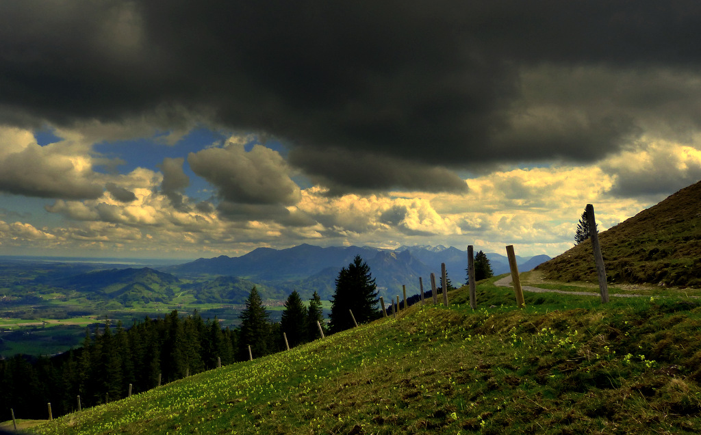 P1040142-001.JPG