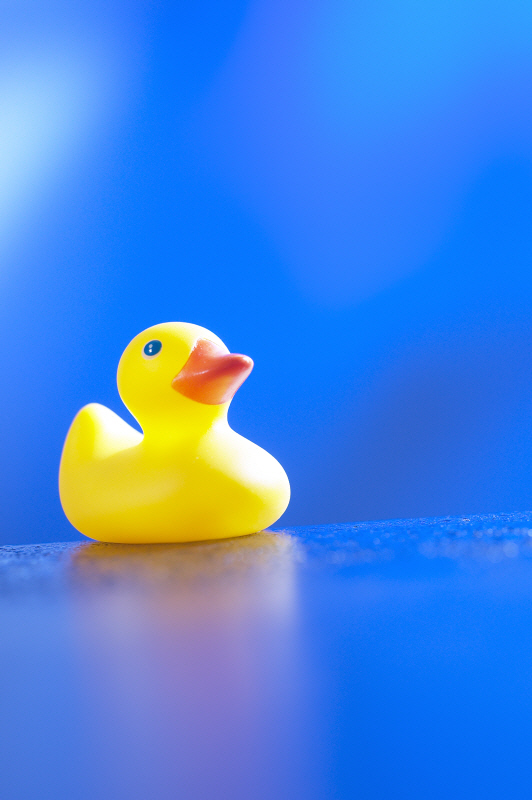 Ente.jpg