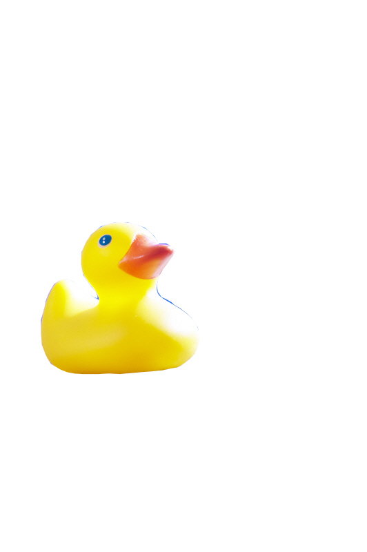 Ente_freigemacht.jpg