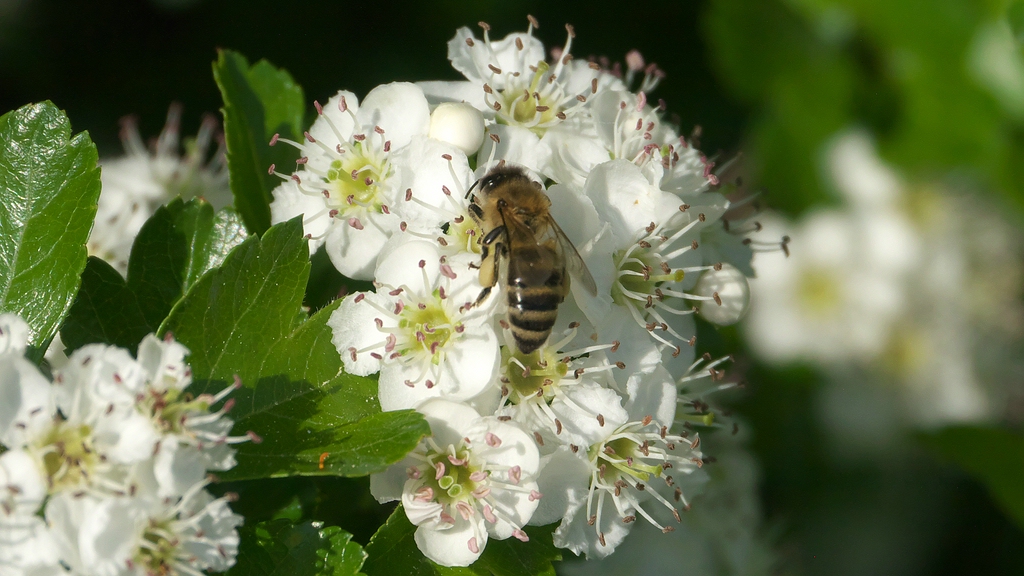 P1010206_R6.jpg