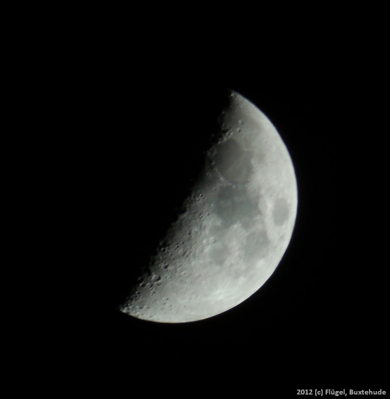 P1000469_cr.jpg