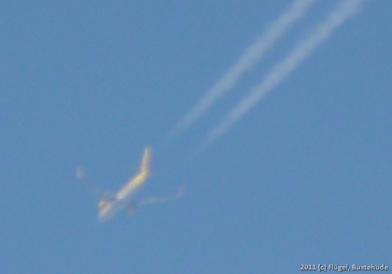 P1000072_cr.jpg