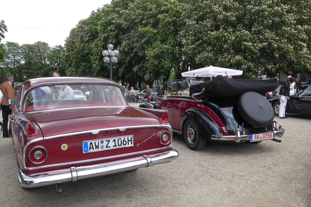 P1090057.jpg