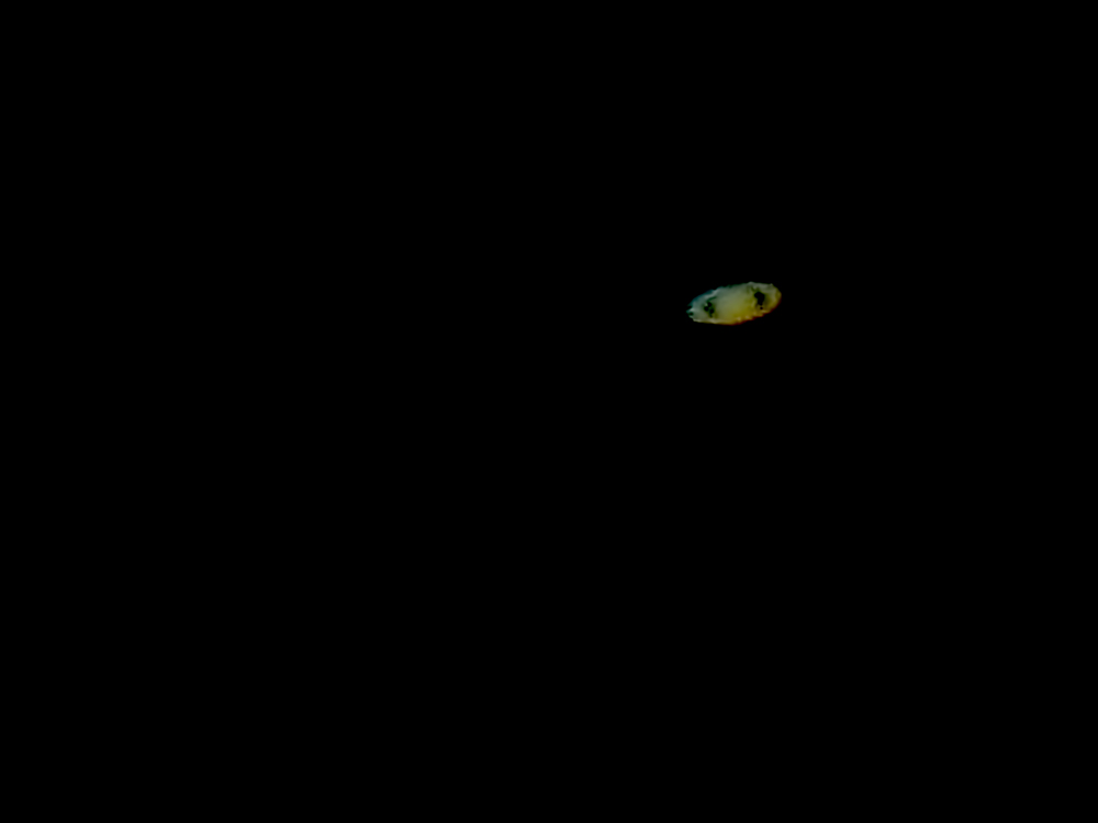 P1250208_4X.jpg