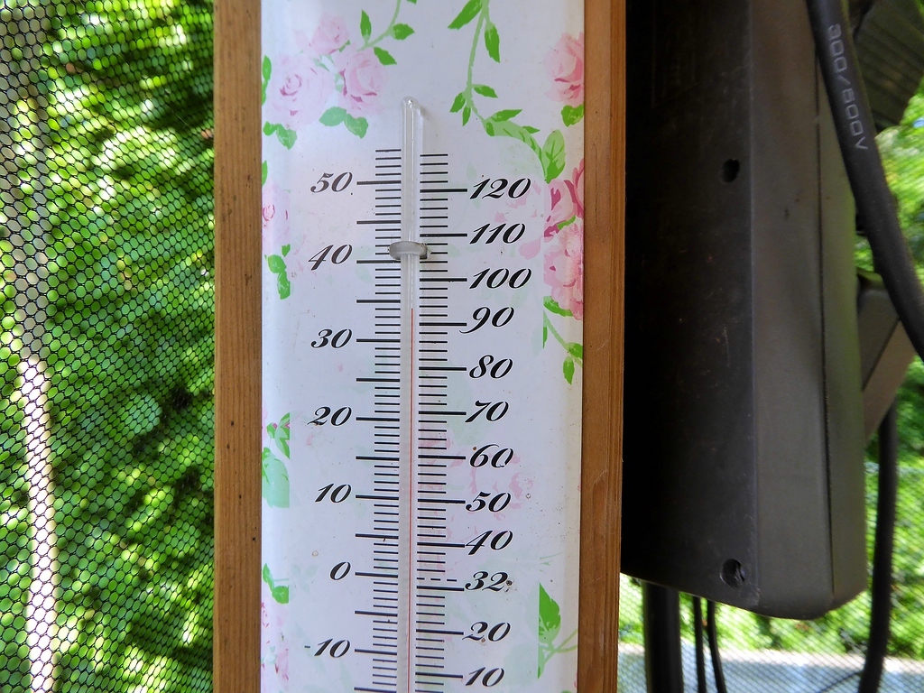 comp_Thermometer.jpg