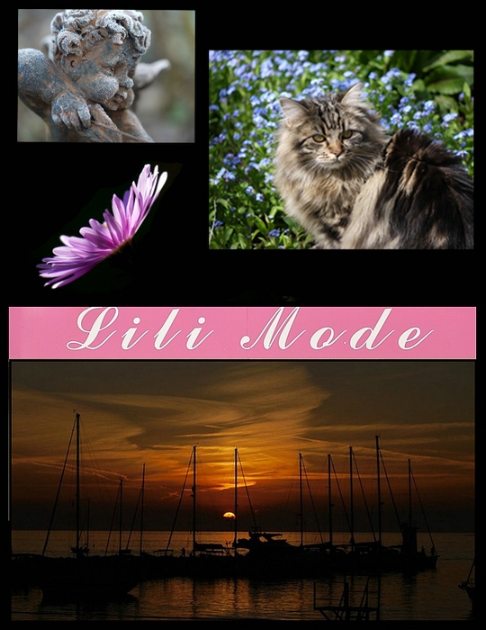 Collage Lilli klein neu Kopie verkleinert.jpg