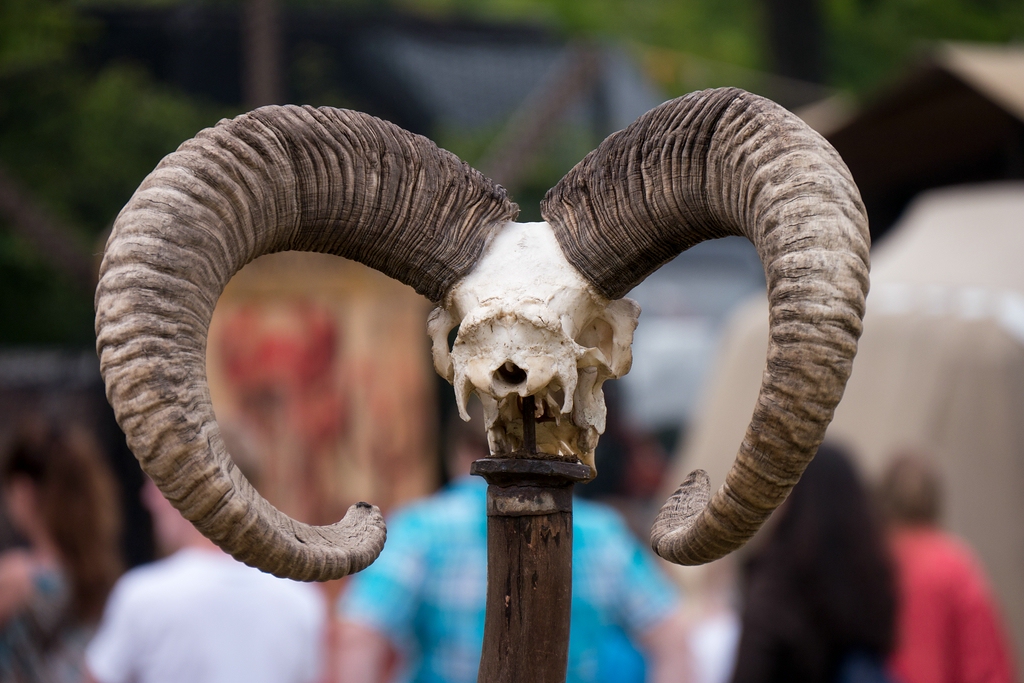 comp_Widderkopf 01 (P1080577).jpg