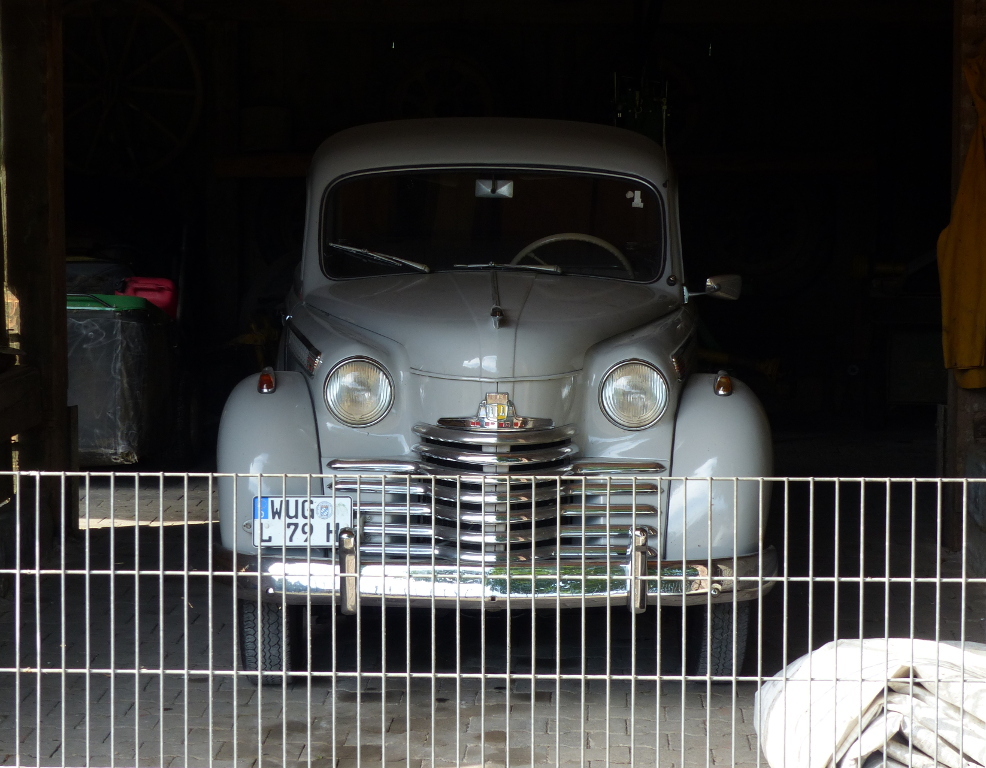 mamü15-3.JPG