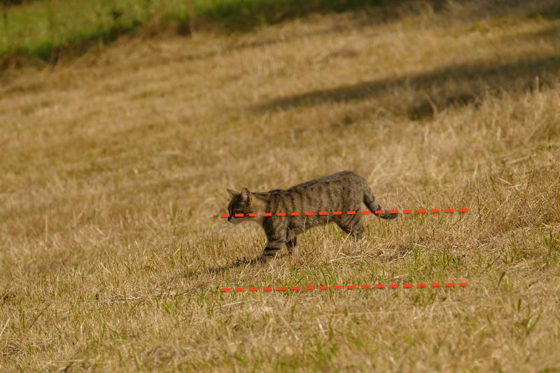 22790727rr.jpg