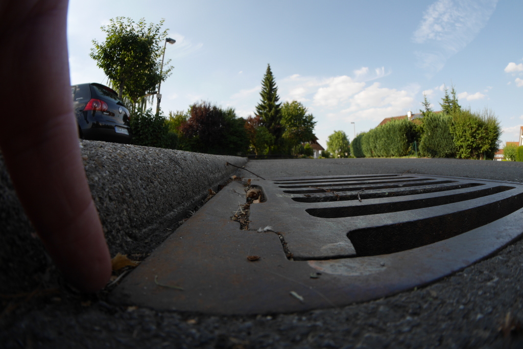 P1040895_v1.jpg