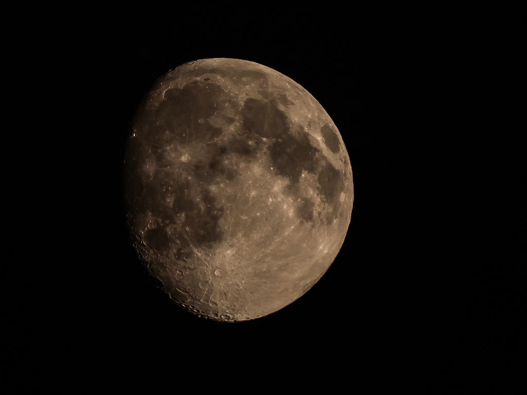 comp_mond-1000721.jpg