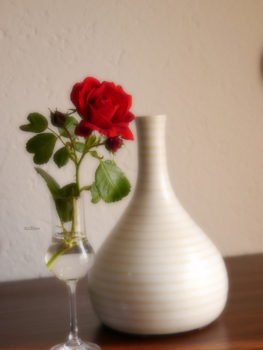 P1000426.JPG