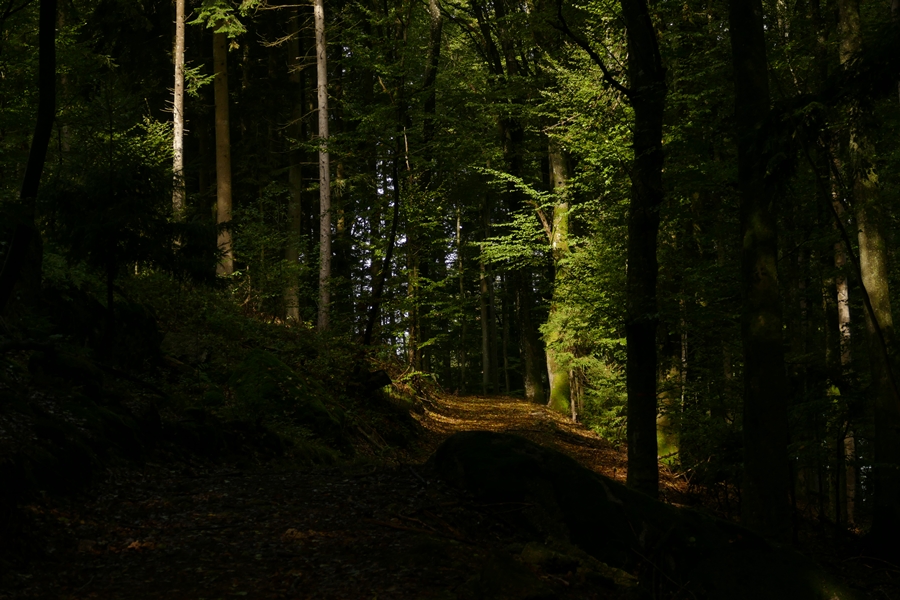 P13501477.JPG